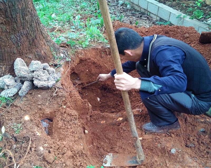 �ɹ����� �L(zh��ng)ɳ��ρ���ι�˾ �W(w��ng)վ��(y��u)��������ͬ